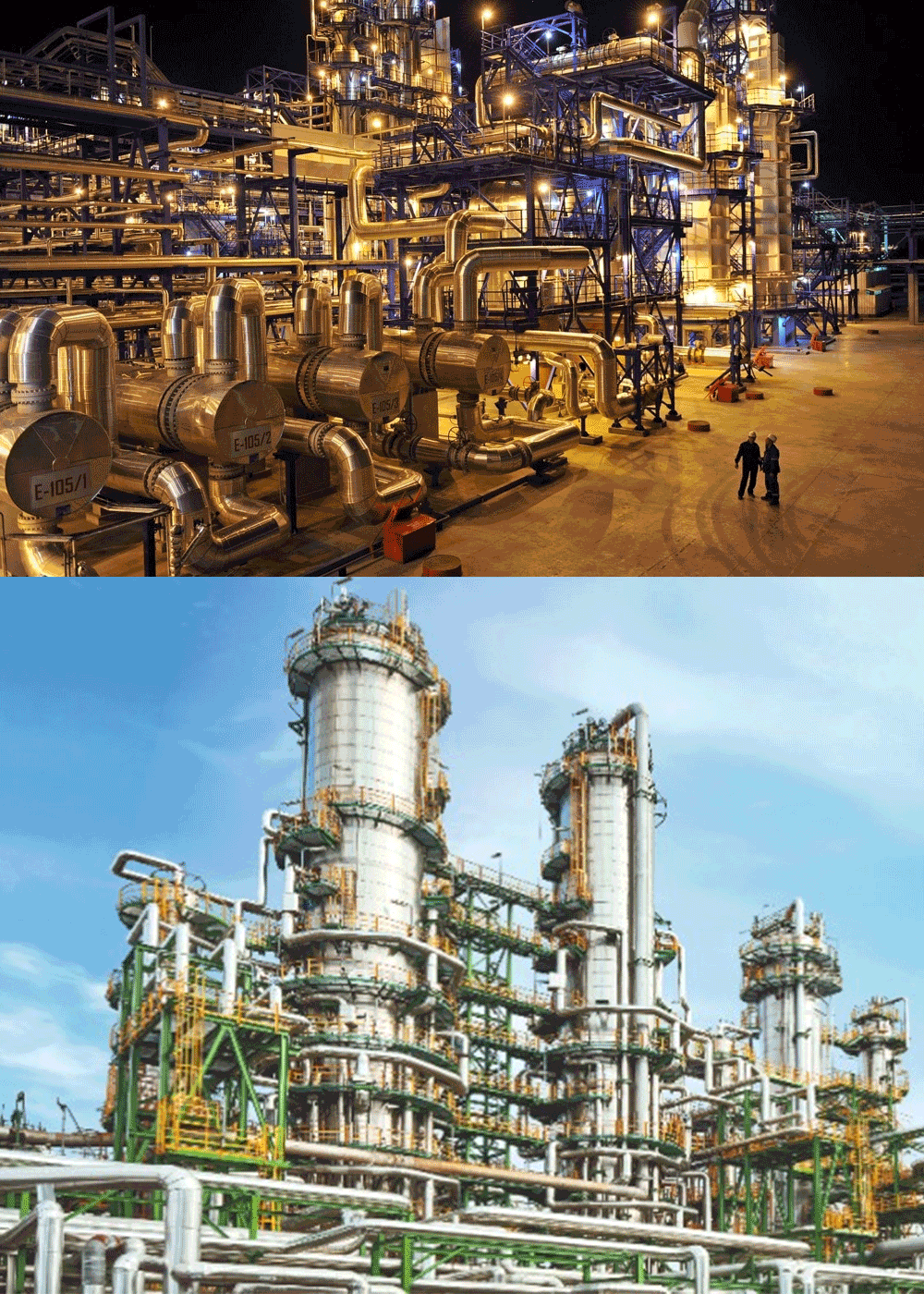 Fats and Oil Processing