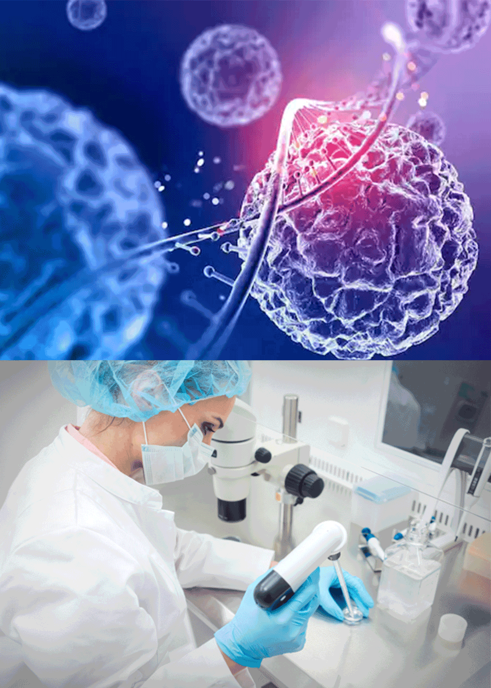 Certificate in Stem Cell cGMP