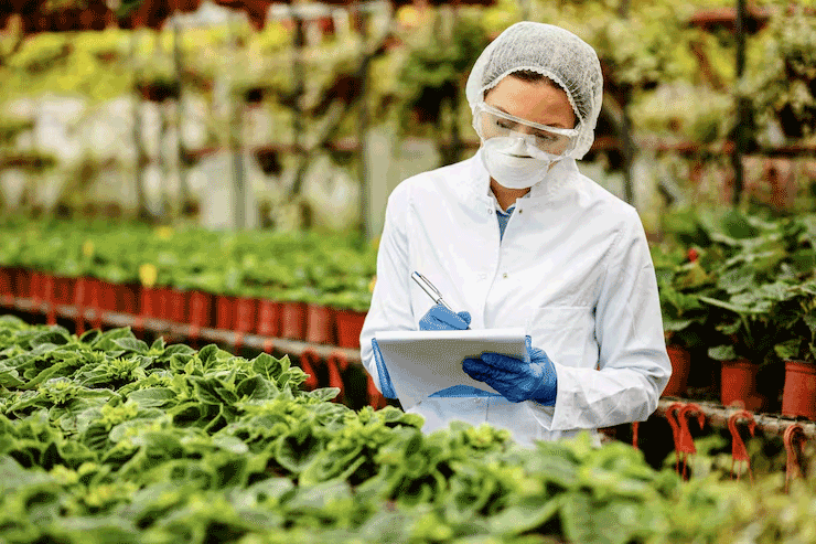 HACCP