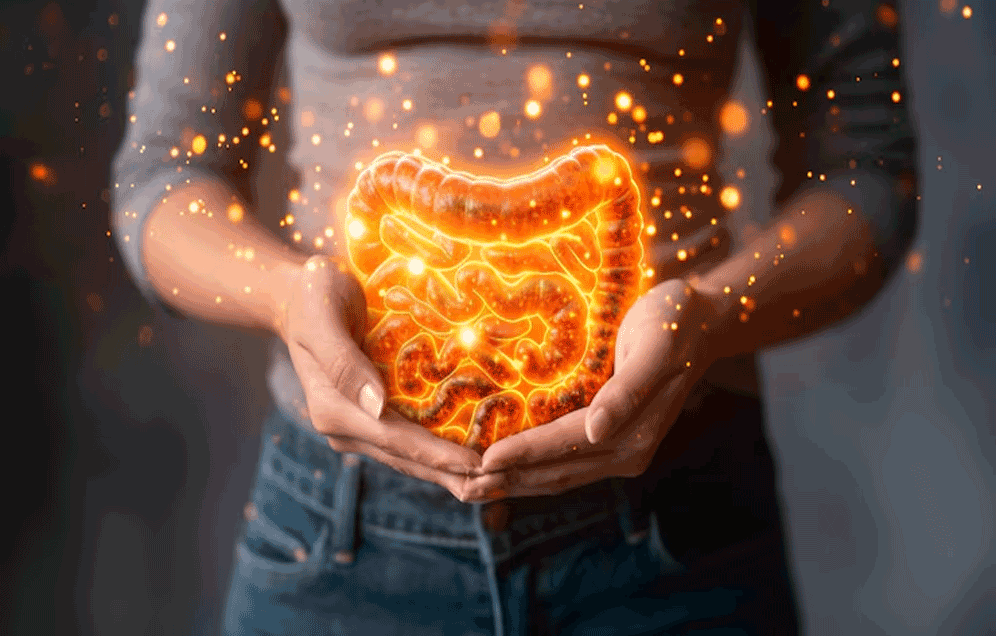 Certificate in Prebiotics and Probiotics in Gut Health