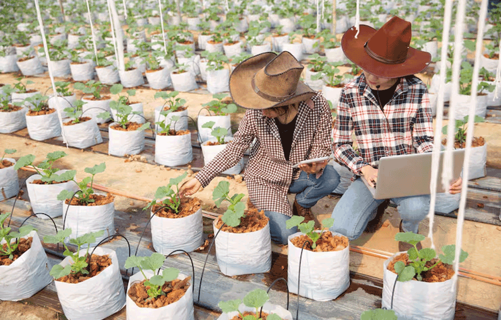 Post Graduate/Executive Diploma in Agricultural Extension Management (PGDAEM / EDAEM)