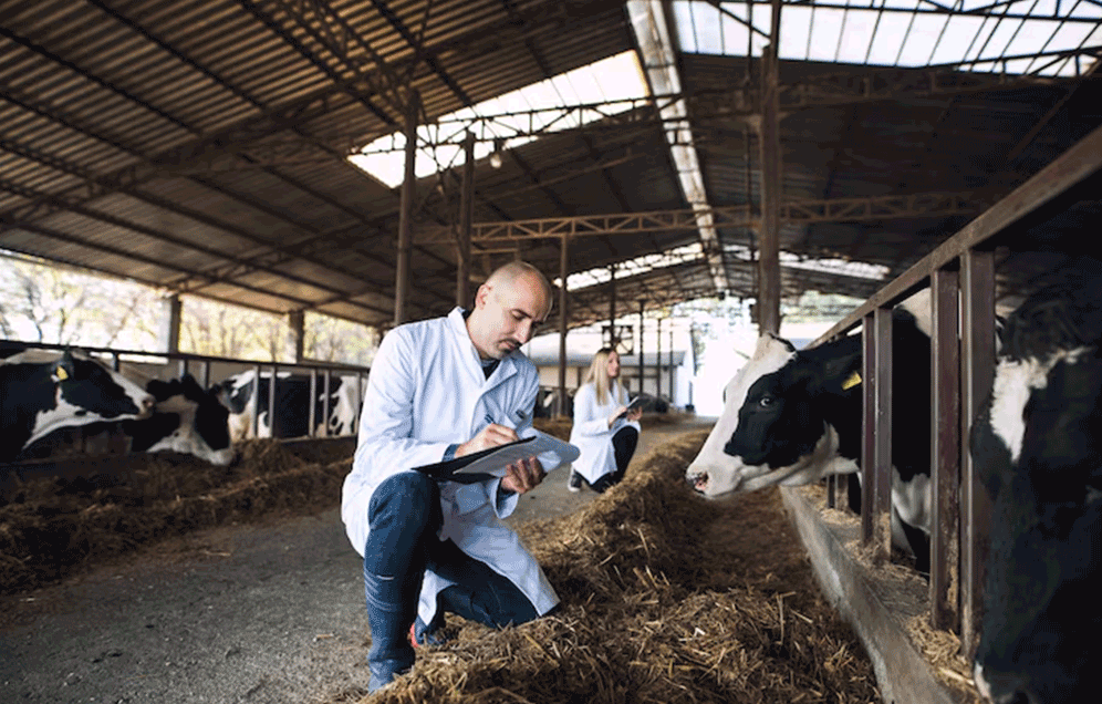Post Graduate Diploma/Executive Diploma in Animal Feed Technology