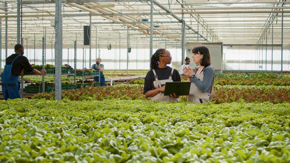 Professional Certification in Urban Farming (CUF)