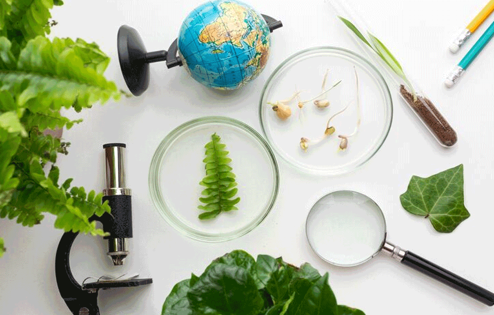 Post Graduate Diploma / Executive Diploma in Sustainable Science (PGDSS / EDSS)