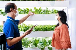 Hydroponics and soilless agriculture course India