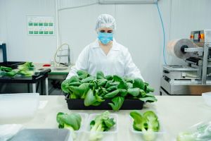 ertificate in Food Good Manufacturing Practices (GMP) training by IGMPI for food safety compliance