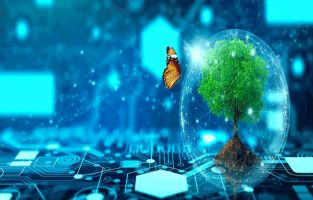 AI and Data for Environmental Sustainability Certification at IGMPI