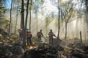 Students learning disaster management skills at IGMPI  