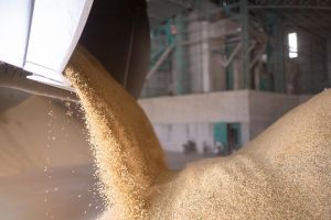 Certificate in Millet Processing Course | Millet-Based Food Production Training