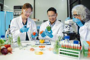 certified-food-quality-auditor