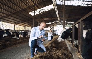 "Executive Animal Feed Technology Course"