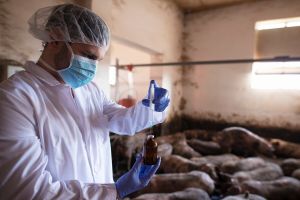 Certificate Course in Meat and Poultry Processing at IGMPI