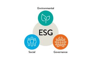 Certificate in Environmental Social Governance (ESG) Course at IGMPI  