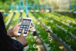 Students learning Agricultural Informatics at IGMPI India  