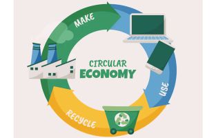 Life Cycle Assessment course by IGMPI for environmental impact analysis and sustainability management training