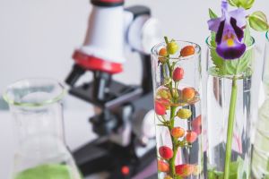 Students studying Food Biochemistry at IGMPI  