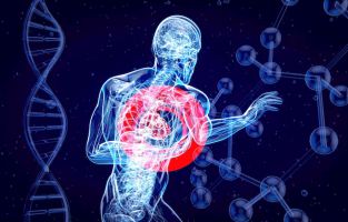 Certification in Autoimmune Holistic Nutrition – IGMPI Online Course