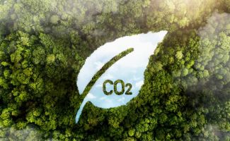 Carbon Markets PG & Executive Diploma Course Online