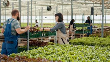 Organic Farming and Food Product Systems Certificate Course at IGMPI