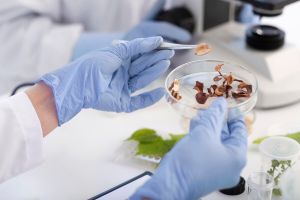 Food Microbiology Training & Certification at IGMPI