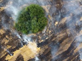 Researchers studying climate change solutions at IGMPI