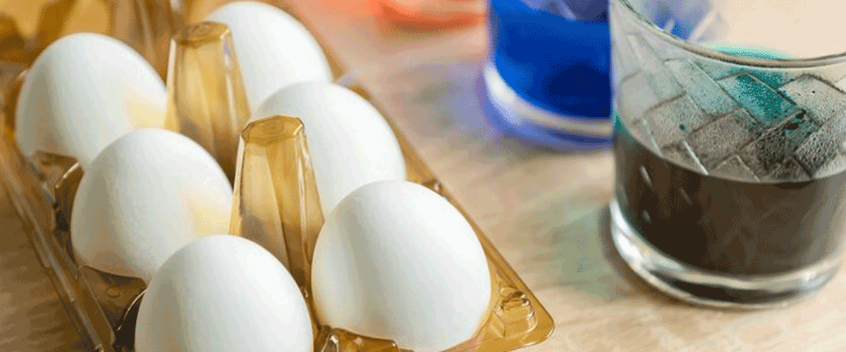 UK Probes Salmonella Outbreak Linked to Eggshell Supplement