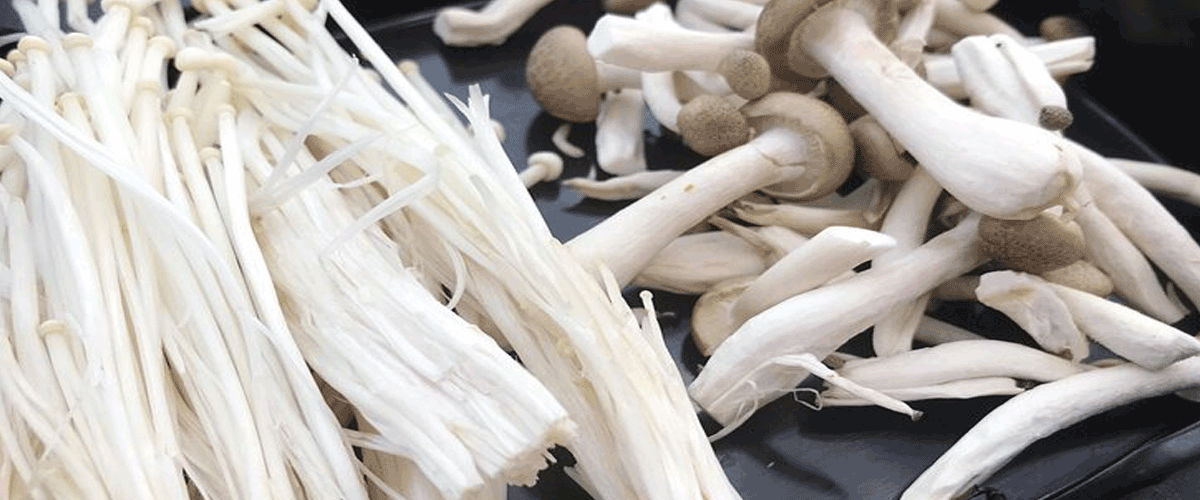 Baekdu Peak Enoki Mushrooms Recalled in Canada Over Listeria Risk