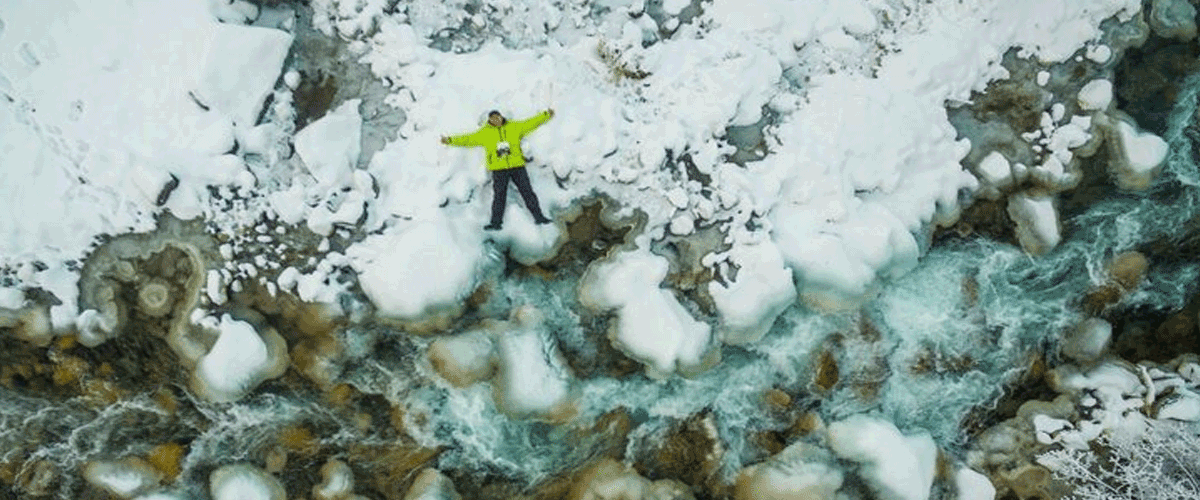 Arctic Ocean Currents Found to Speed Carbon-Rich Phytoplankton to the Seafloor