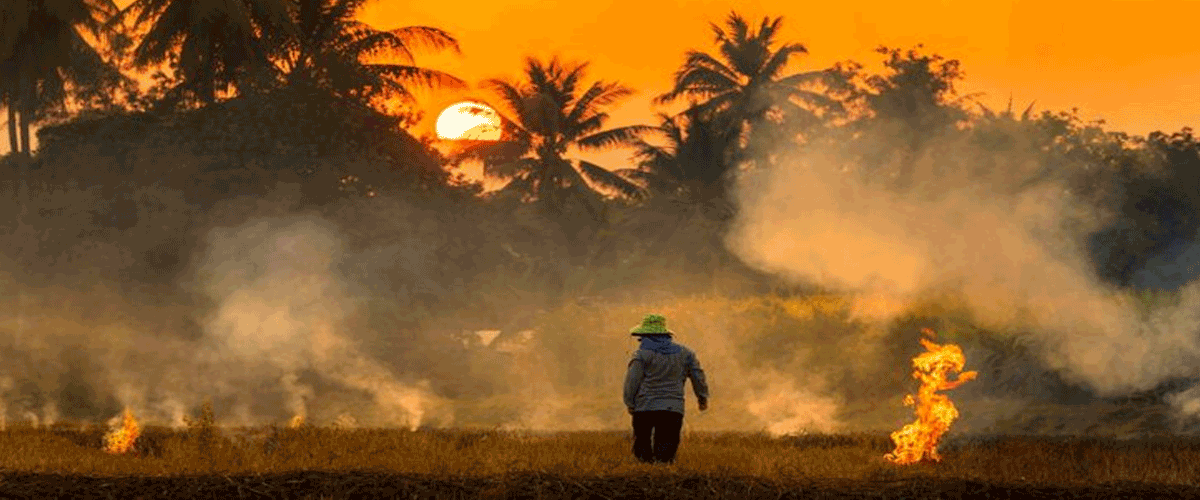 Heat Amplifies Chemical Risks for Migrant Farmworkers