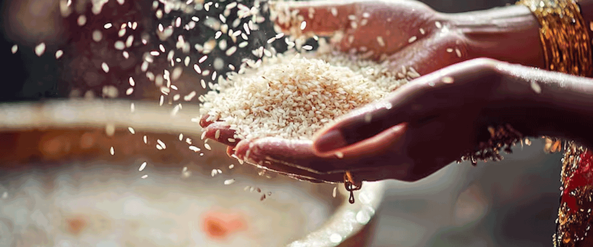 India and WFP Partner to Supply Fortified Rice for Global Hunger Relief