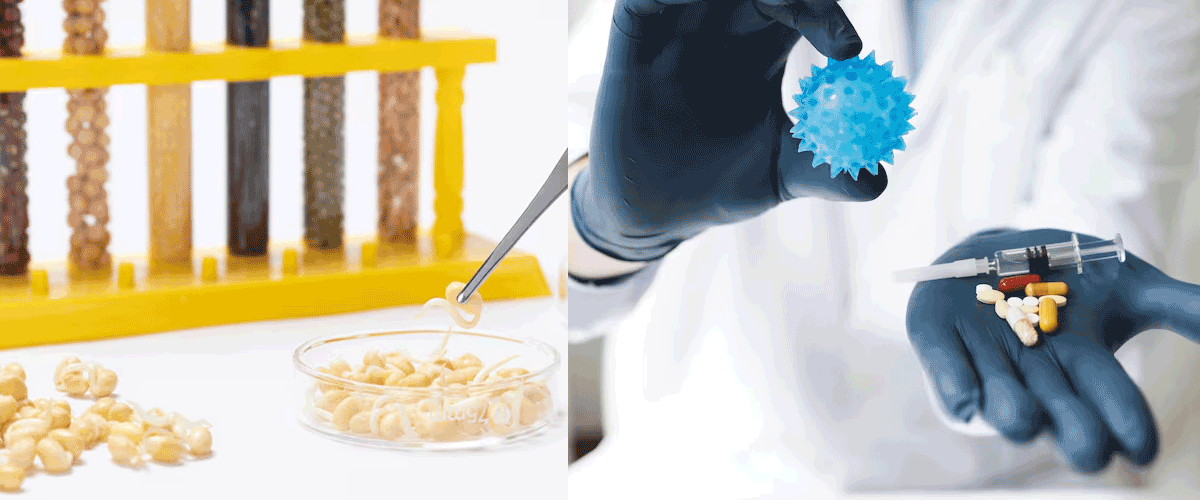 CRISPR Discovery of Microprotein Opens New Path in Obesity Treatment
