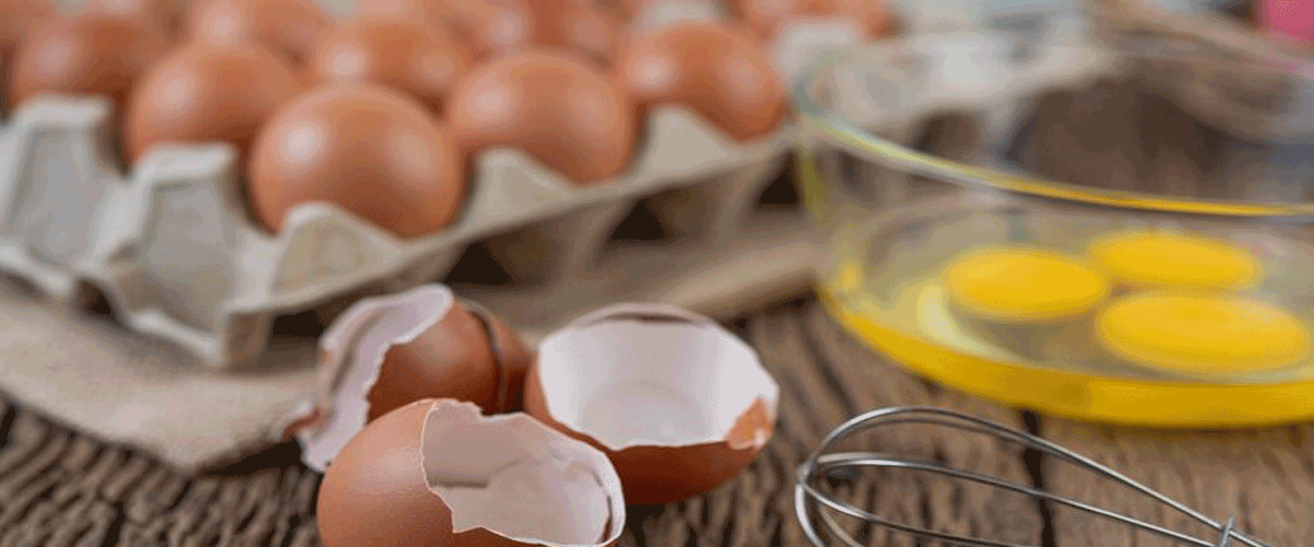 Toxic Flame Retardants Found in Eggs Near Waste Sites, Review Warns