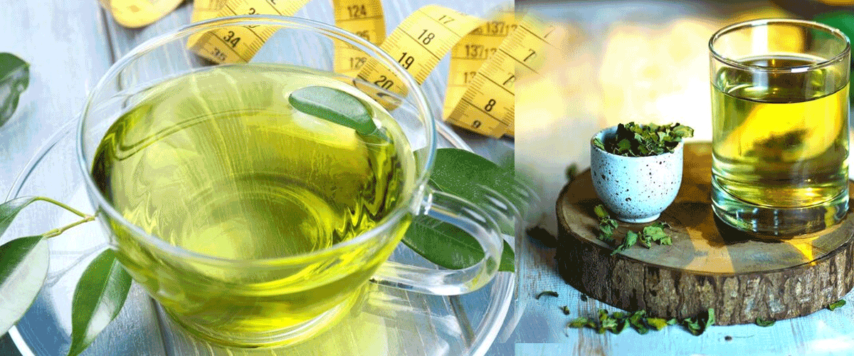 Green Tea Extract Cuts Obesity by 30% in Mice and Boosts Metabolic Health