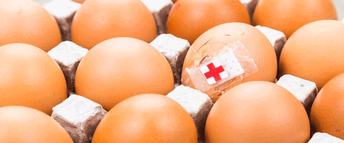 California Salmonella Outbreak Linked to Recalled Eggs