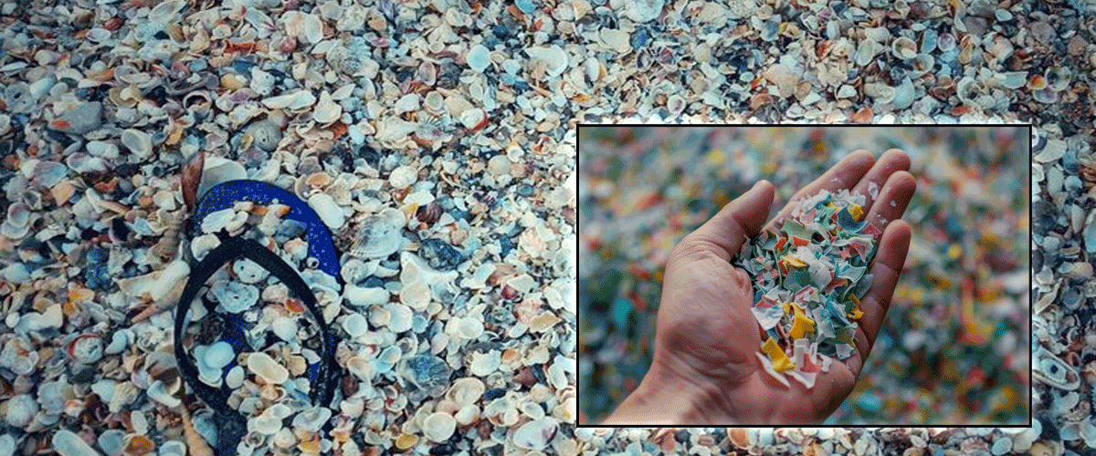 Microplastics: The Invisible Threat in Our Bodies