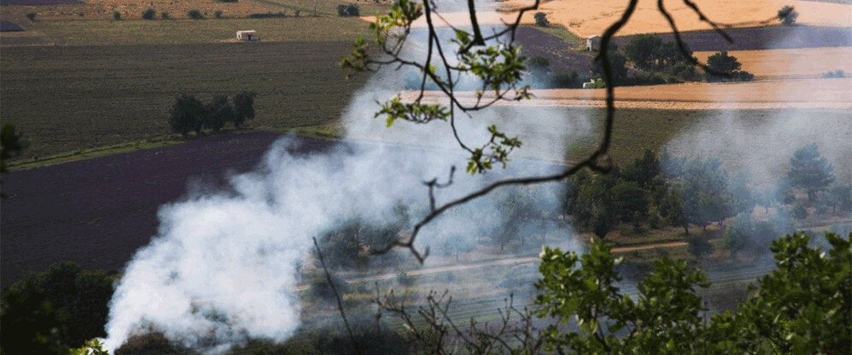 North Carolina Expands Efforts to Combat PFAS Contamination