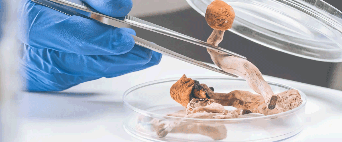 FDA Grants First De Novo Authorisation for AI Prostate Cancer Software