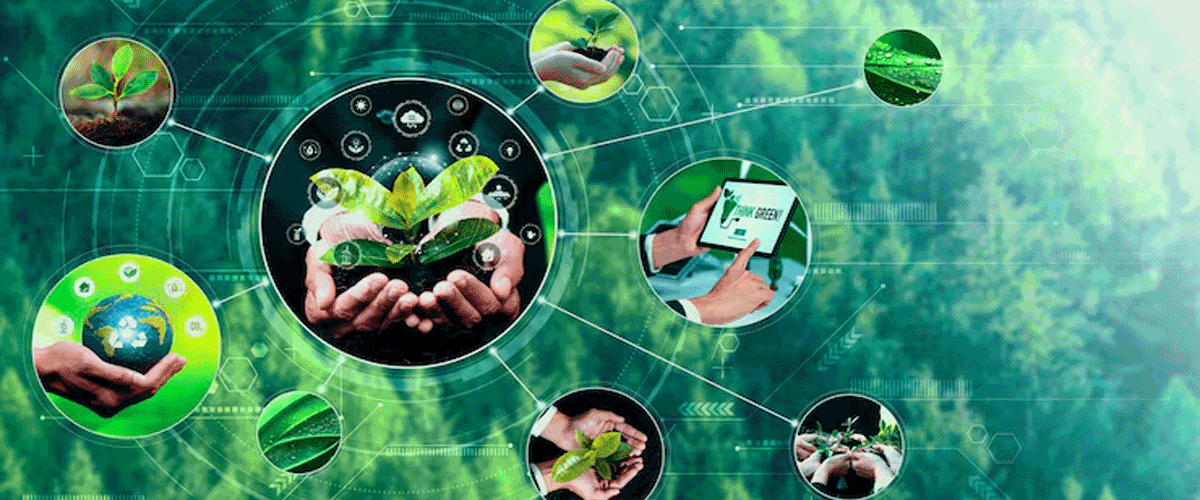 Nature Sustainability Showcases Safer Bisphenol Design Approach