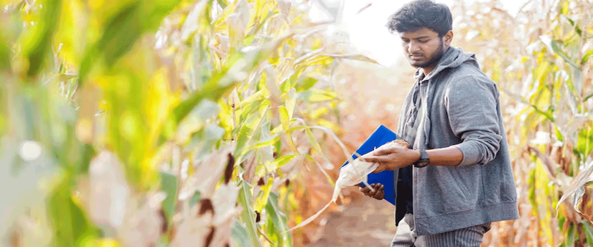Agriculture Minister Calls for Agroecology and Crop Diversification to Promote Sustainable Farming