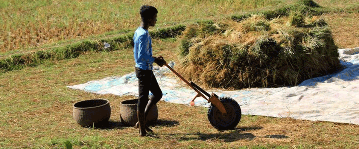 Child Labour and Safety Concerns in California’s Agricultural Fields