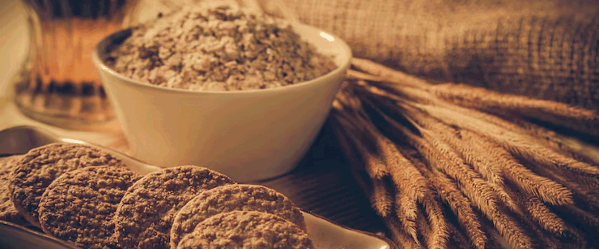 Sunflower Flour Becomes Promising New Meat Alternative