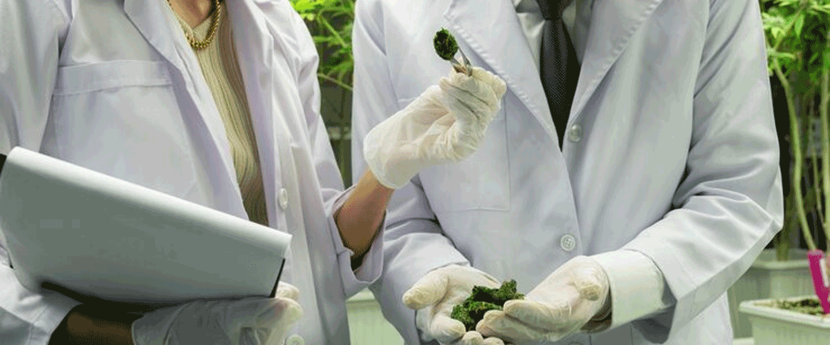 FIGO Highlights Clinicians’ Role in Addressing Reproductive Risks from Environmental Toxics