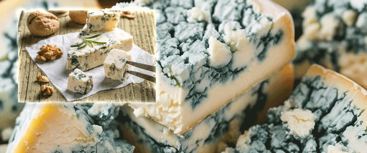 Maison Gabriel Coulet Roquefort Cheese Recalled Over Listeria Contamination in Canada