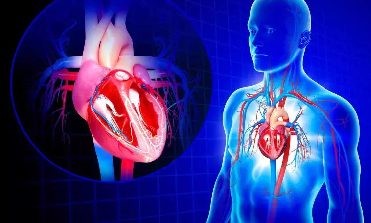 AI Alerts Improve Heart Valve Care, Study Finds