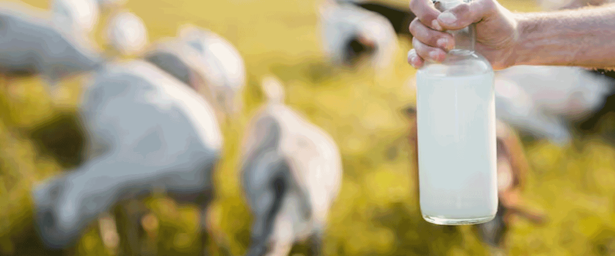 Idaho Officials Probe E. coli Outbreak Linked to Raw Milk