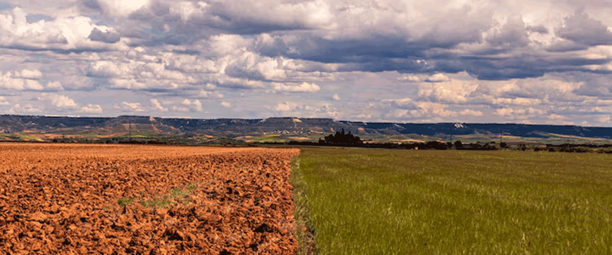 Dryland Congress Calls for Wider Adoption of Climate-Resilient Farming Solutions