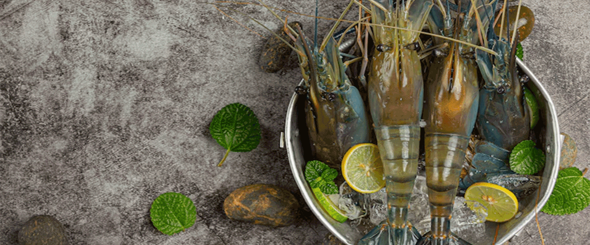 Sustainable SEAFood Festival Launches June 1 Across Asia