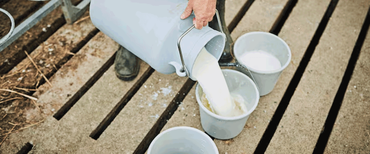 Prairie Farms Recalls Fat-Free Milk Over Cleaning Agent Contamination