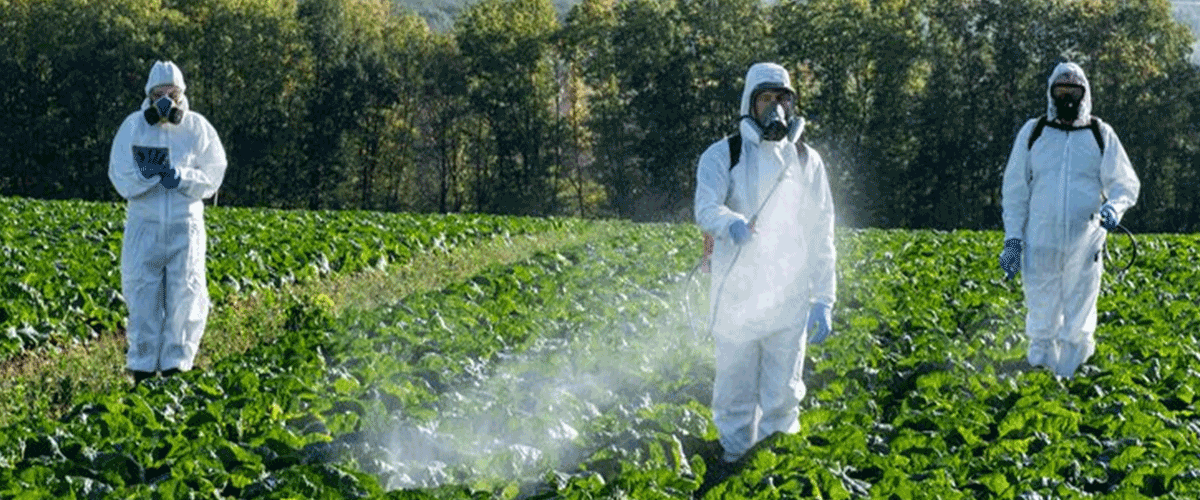 PFAS in Pesticides Raise Growing Concern Over Food and Water Safety