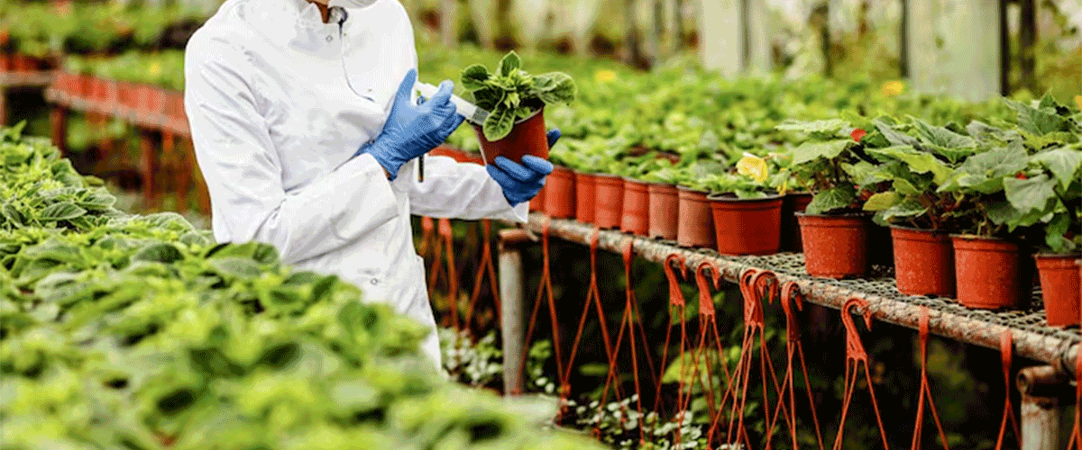 Cargill Study Reveals Southeast Asia’s Growing Appetite for Indulgence